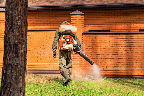 Trusted Rodent Control service in Lake Wynonah, PA - Nex Pest Control